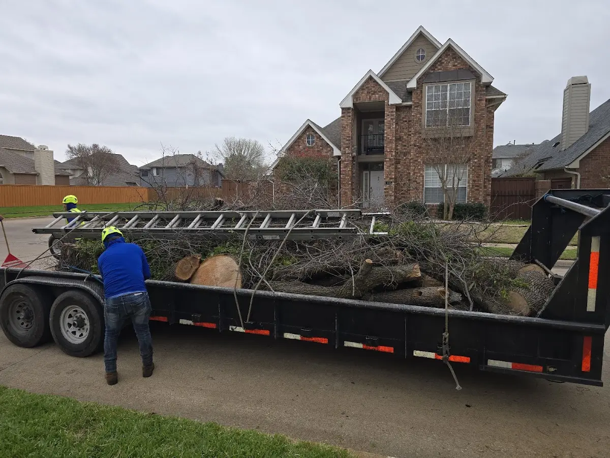 Expert Lot Clearing with proper safety equipment in Tremonton